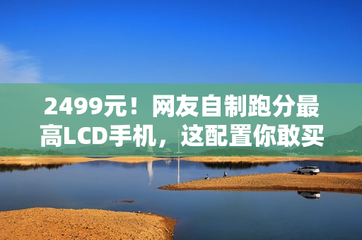2499元！网友自制跑分最高LCD手机，这配置你敢买吗？