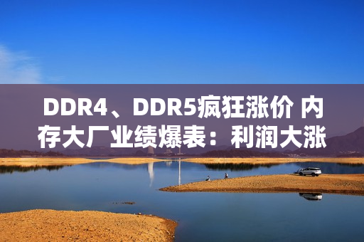 DDR4、DDR5疯狂涨价 内存大厂业绩爆表：利润大涨1500%!