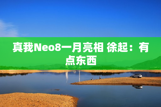真我Neo8一月亮相 徐起：有点东西