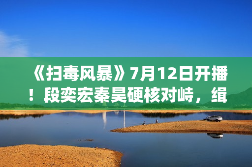 《扫毒风暴》7月12日开播！段奕宏秦昊硬核对峙，缉毒风暴席卷荧屏(《扫毒风暴》7月12日开播)