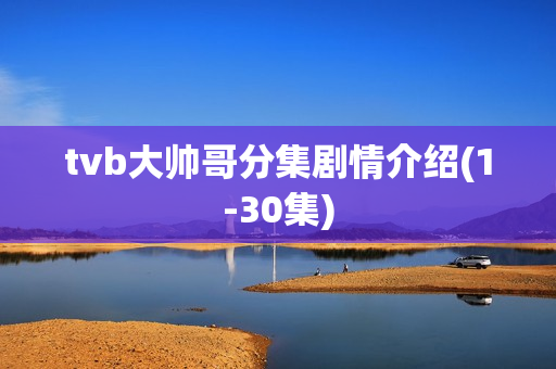 tvb大帅哥分集剧情介绍(1-30集)