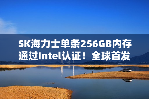 SK海力士单条256GB内存通过Intel认证！全球首发1b工艺32Gb颗粒