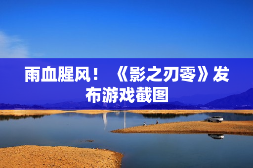 雨血腥风！ 《影之刃零》发布游戏截图