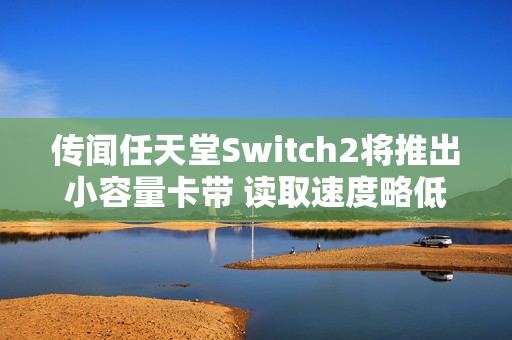 传闻任天堂Switch2将推出小容量卡带 读取速度略低