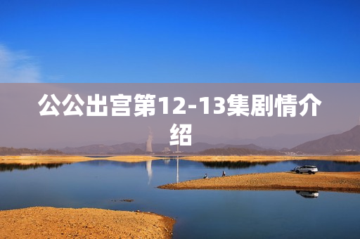 公公出宫第12-13集剧情介绍