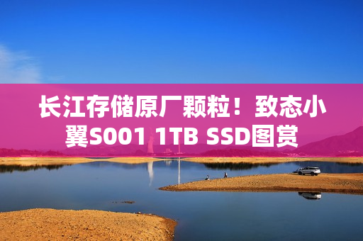 长江存储原厂颗粒！致态小翼S001 1TB SSD图赏