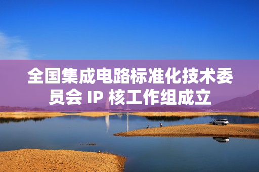 全国集成电路标准化技术委员会 IP 核工作组成立