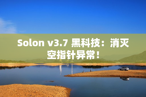 Solon v3.7 黑科技：消灭空指针异常！