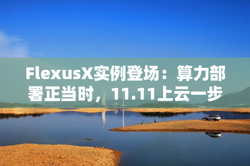 FlexusX实例登场：算力部署正当时，11.11上云一步到位