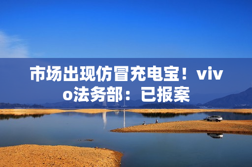 市场出现仿冒充电宝！vivo法务部：已报案