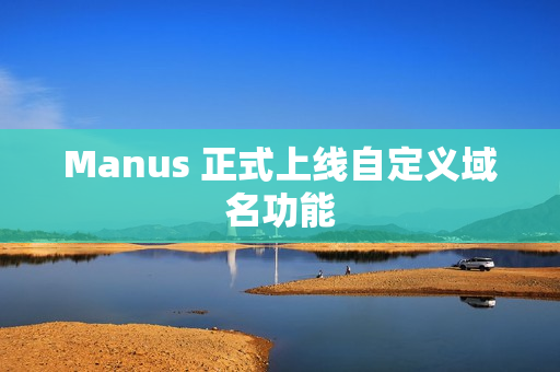 Manus 正式上线自定义域名功能