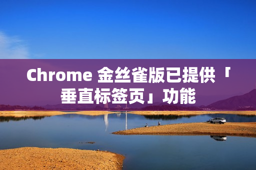 Chrome 金丝雀版已提供「垂直标签页」功能
