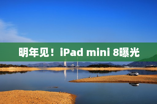 明年见！iPad mini 8曝光