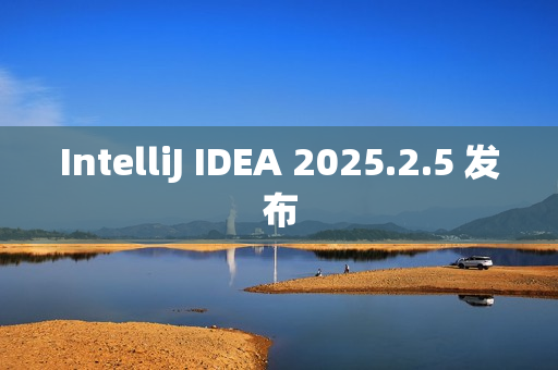 IntelliJ IDEA 2025.2.5 发布