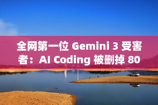 全网第一位 Gemini 3 受害者：AI Coding 被删掉 800GB 重要文件