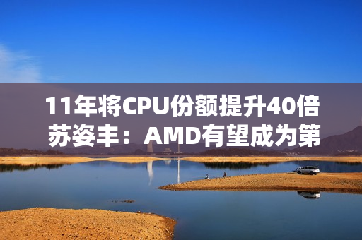 11年将CPU份额提升40倍 苏姿丰：AMD有望成为第一