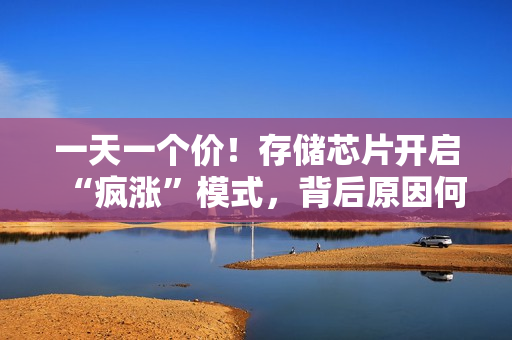 一天一个价！存储芯片开启“疯涨”模式，背后原因何在？