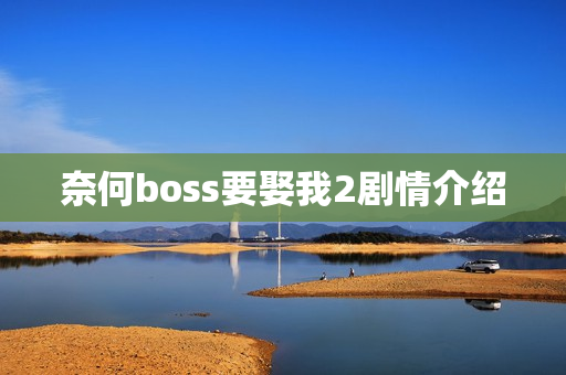 奈何boss要娶我2剧情介绍