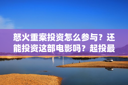 怒火重案投资怎么参与？还能投资这部电影吗？起投最低多少？(怒火重案投资成本是多少)