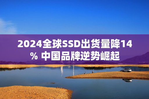 2024全球SSD出货量降14% 中国品牌逆势崛起