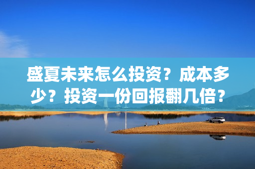 盛夏未来怎么投资？成本多少？投资一份回报翻几倍？(盛夏未来怎么买票)