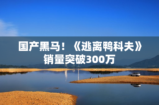 国产黑马！《逃离鸭科夫》销量突破300万