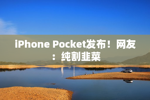 iPhone Pocket发布！网友：纯割韭菜