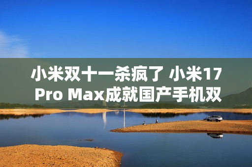 小米双十一杀疯了 小米17 Pro Max成就国产手机双冠王 小米双十一杀疯了 小米17 Pro Max成就国产手机双冠王
