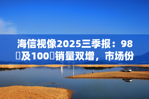 海信视像2025三季报：98吋及100吋销量双增，市场份额持续领跑
