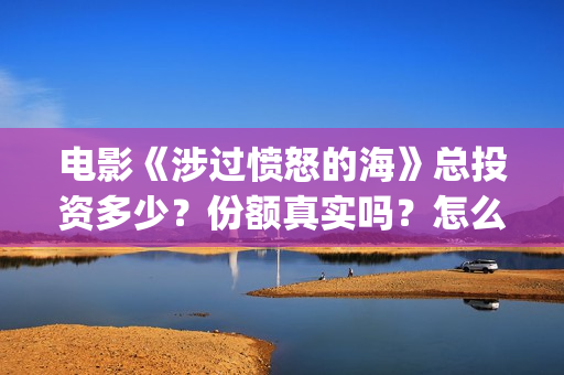 电影《涉过愤怒的海》总投资多少？份额真实吗？怎么参与投资？成本多少？(电影涉过愤怒的海演员表)
