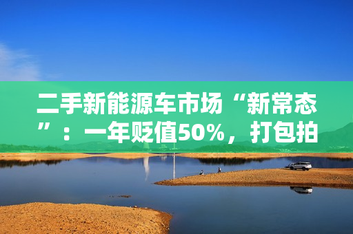 二手新能源车市场“新常态”：一年贬值50%，打包拍卖成主流