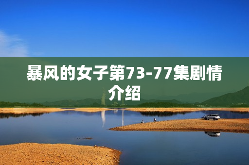 暴风的女子第73-77集剧情介绍