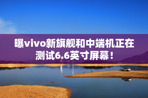 曝vivo新旗舰和中端机正在测试6.6英寸屏幕！
