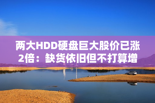 两大HDD硬盘巨大股价已涨2倍：缺货依旧但不打算增产