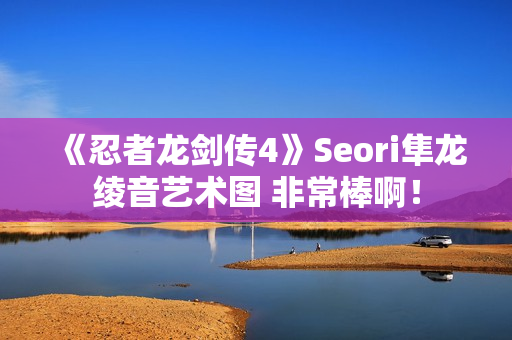 《忍者龙剑传4》Seori隼龙绫音艺术图 非常棒啊！