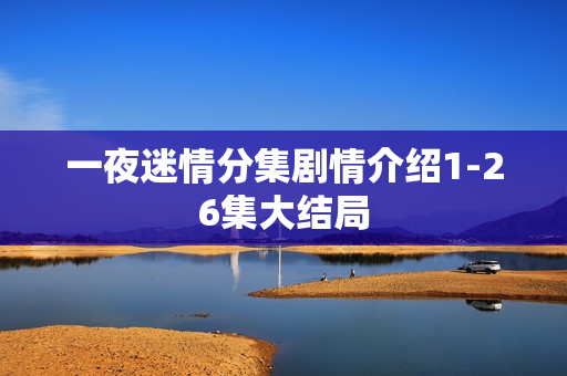 一夜迷情分集剧情介绍1-26集大结局