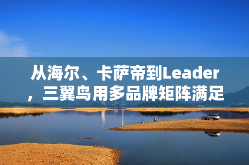 从海尔、卡萨帝到Leader,三翼鸟用多品牌矩阵满足中国家庭需求 从海尔、卡萨帝到Leader,三翼鸟用多品牌矩阵满足中国家庭需求
