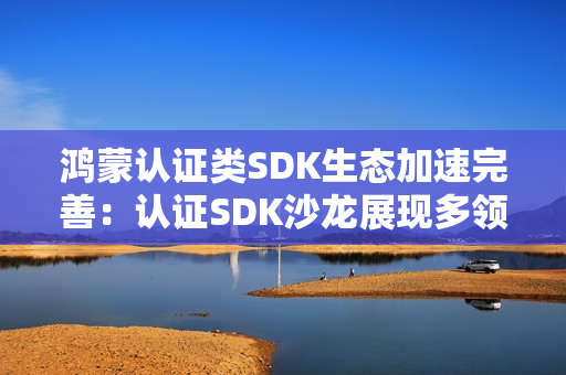 鸿蒙认证类SDK生态加速完善：认证SDK沙龙展现多领域伙伴创新成果