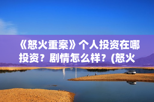 《怒火重案》个人投资在哪投资？剧情怎么样？(怒火重案太燃了)