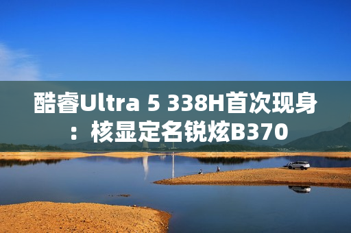 酷睿Ultra 5 338H首次现身：核显定名锐炫B370