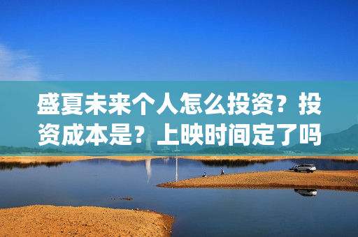 盛夏未来个人怎么投资？投资成本是？上映时间定了吗？(盛夏未来hey siri)