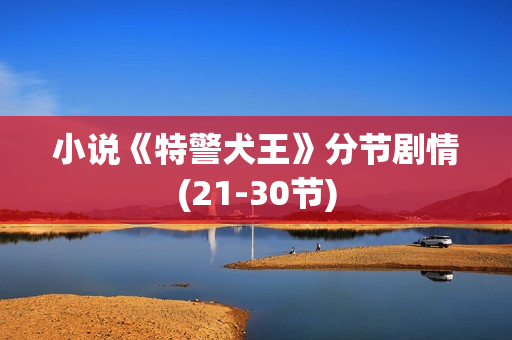 小说《特警犬王》分节剧情(21-30节)
