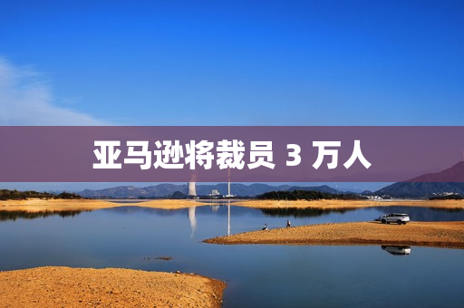 亚马逊将裁员 3 万人