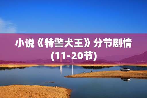 小说《特警犬王》分节剧情(11-20节)