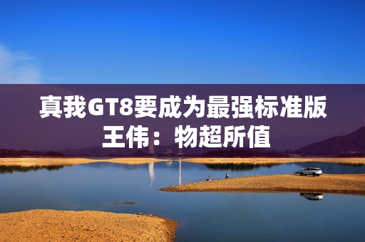 真我GT8要成为最强标准版 王伟：物超所值