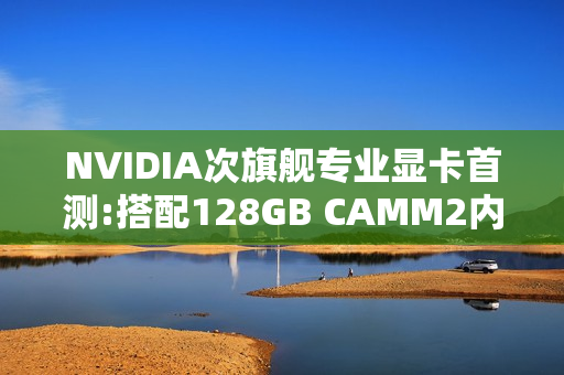 NVIDIA次旗舰专业显卡首测:搭配128GB CAMM2内存