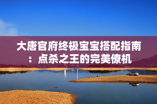 大唐官府终极宝宝搭配指南：点杀之王的完美僚机