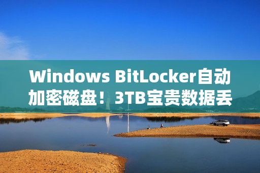 Windows BitLocker自动加密磁盘！3TB宝贵数据丢失：永远无法再找回