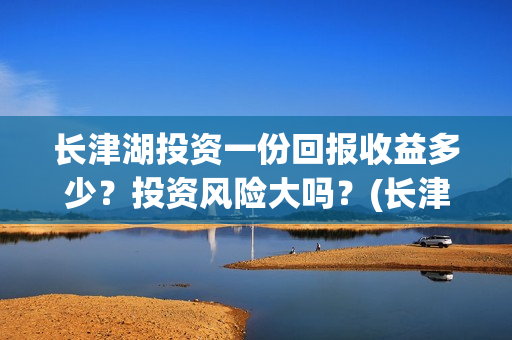 长津湖投资一份回报收益多少？投资风险大吗？(长津湖最大投资方)