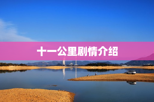 十一公里剧情介绍